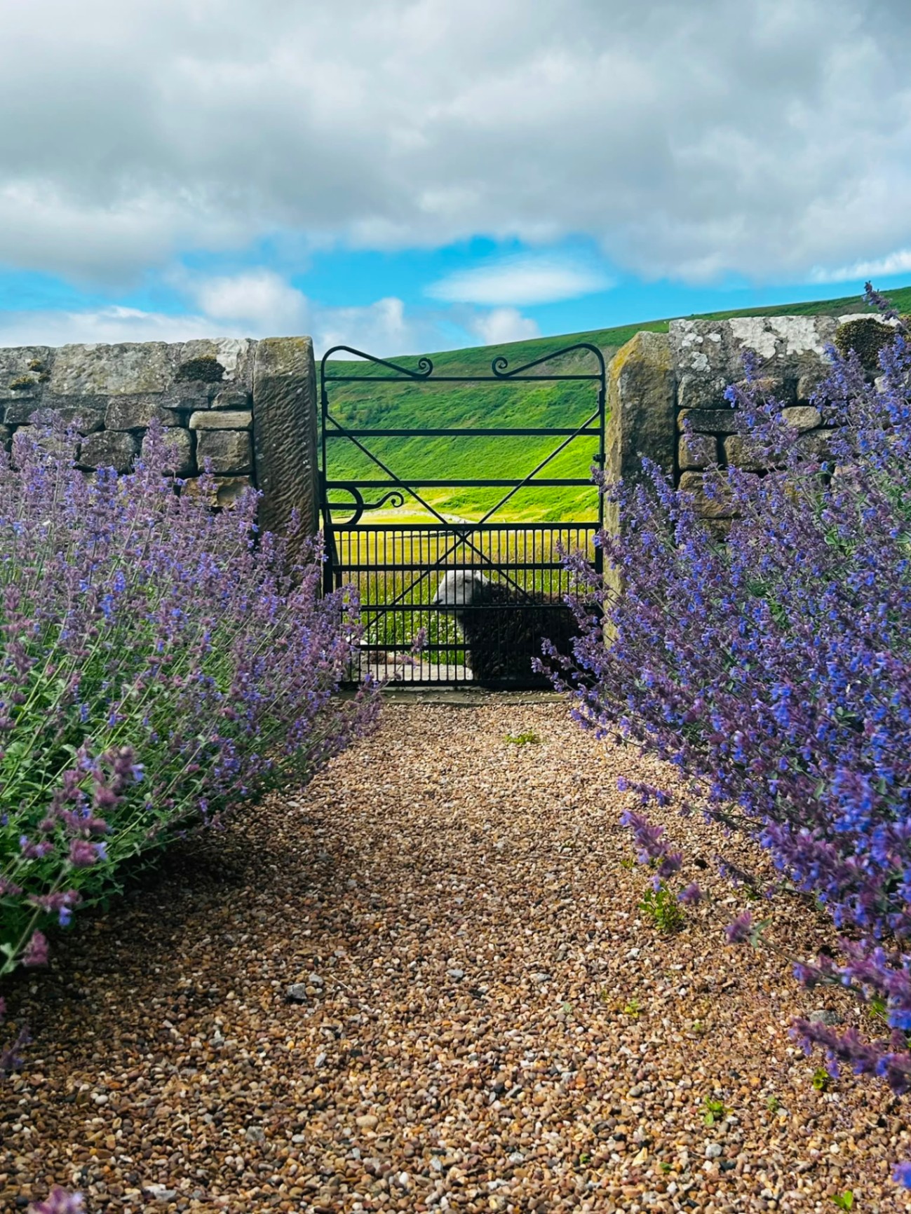 Iron gate opening onto the Yorkshire Dales