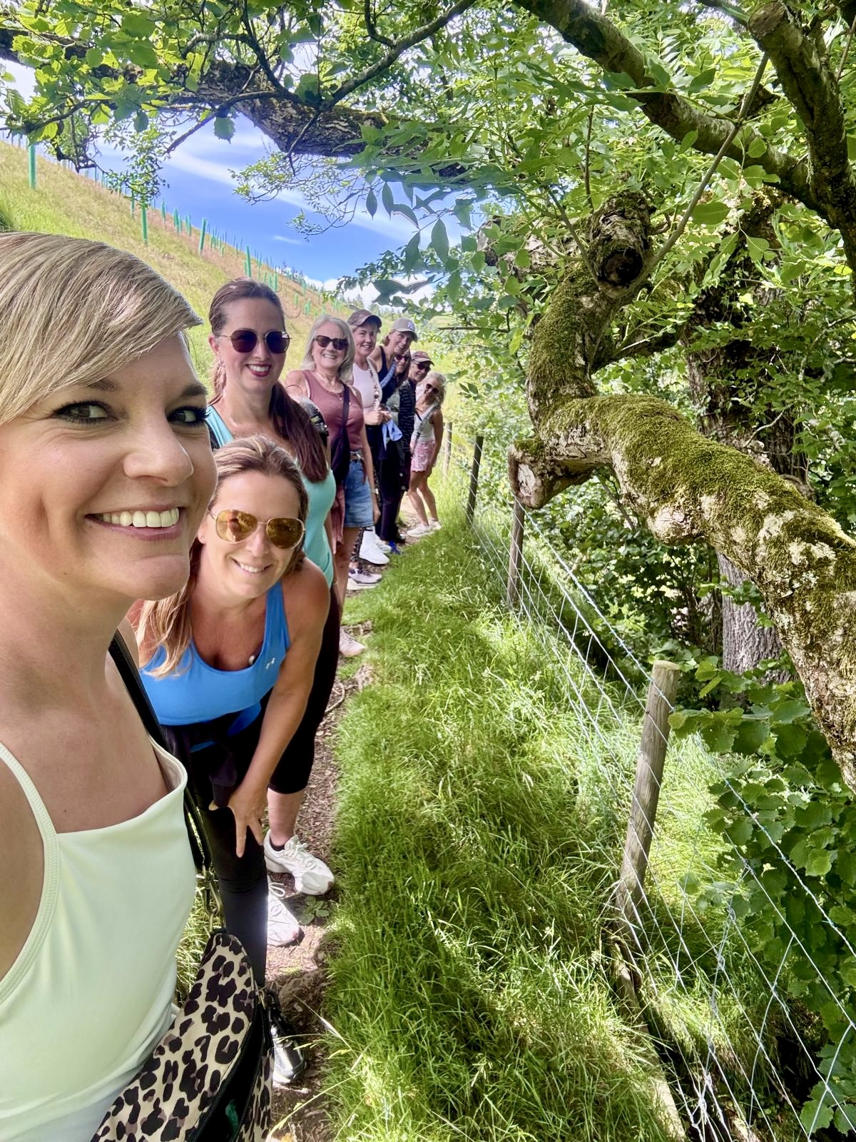 Guests walking together through the Yorkshire countryside